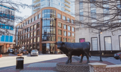 Things to do in Durham