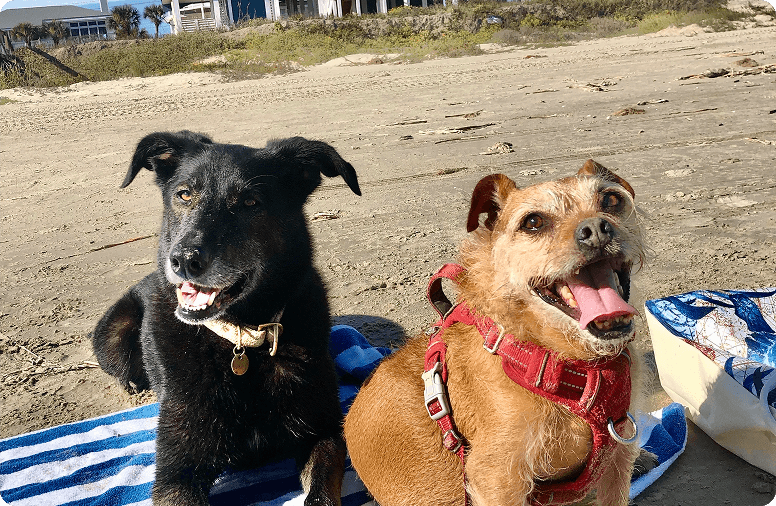 Quinn and Patrick