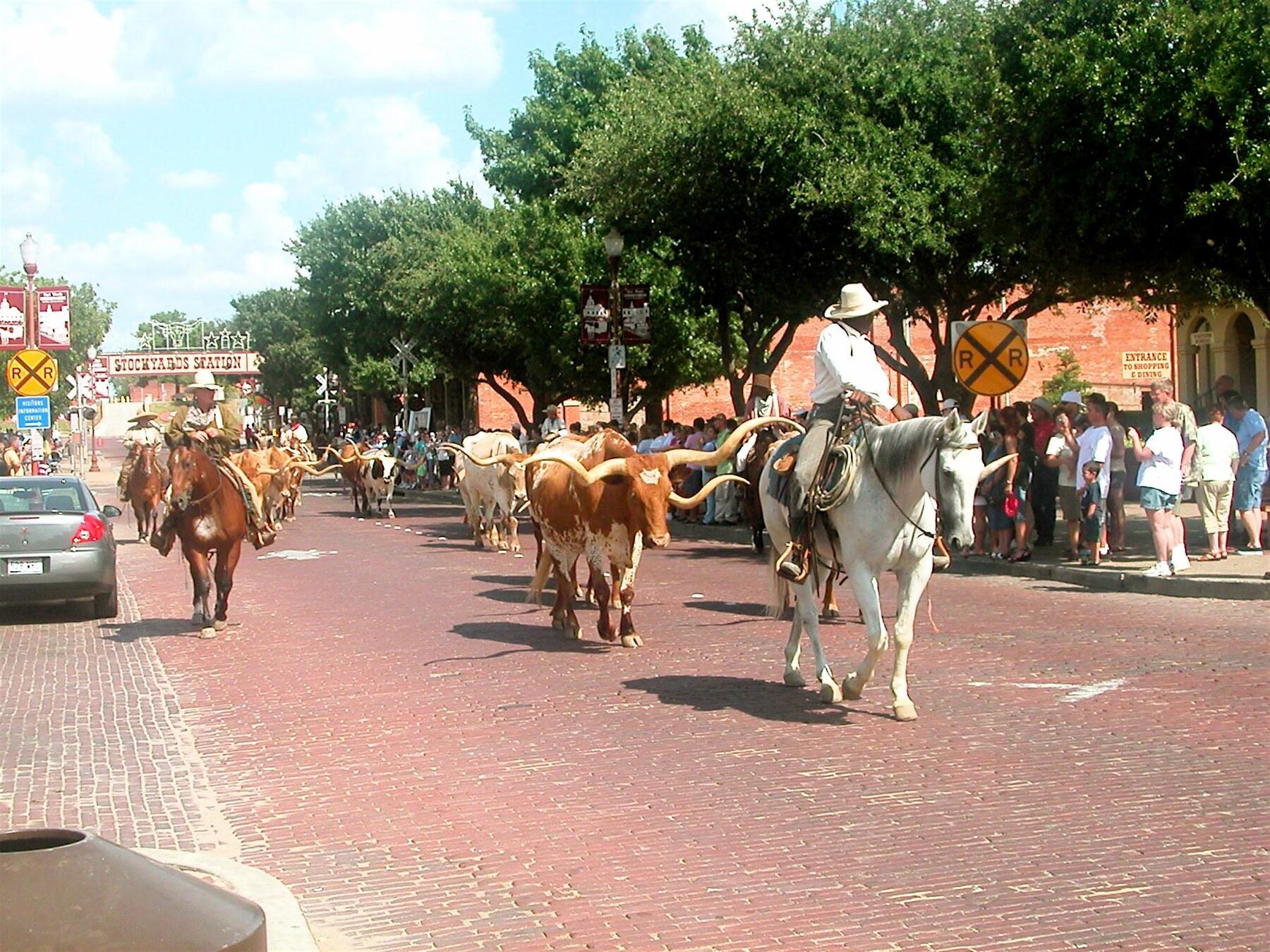 Explore the Stockyards