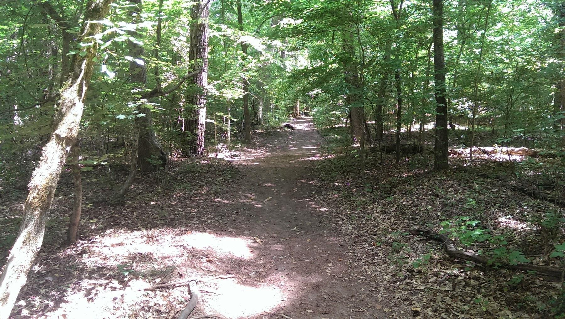 Explore Island Ford